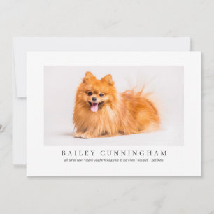 Cartão De Agradecimento Obrigados De Pet Fotográficos Modernos E Simples 