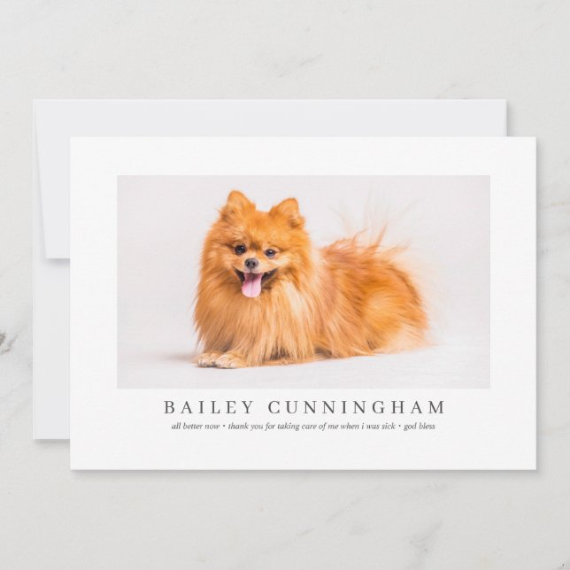 Cartão De Agradecimento Obrigados De Pet Fotográficos Modernos E Simples E (Frente)