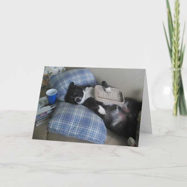 Cartão De Agradecimento Obrigados para o partido com cão bonito (Frente)