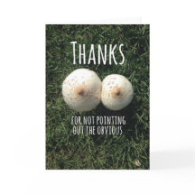 Obrigados por não apontar o óbvio!