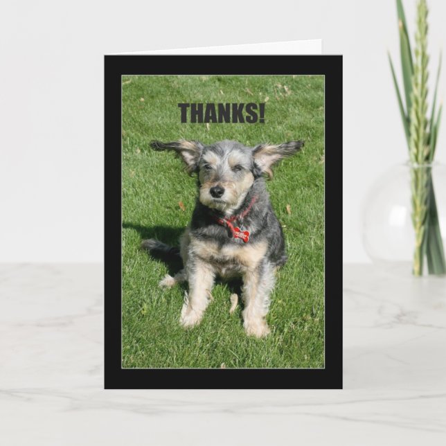 Cartão De Agradecimento Obrigados! Sua Bondade Quase Me Afastou! (Frente)