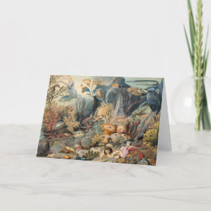 Cartão De Agradecimento Oceano Mundo, Sob o Mar, Náutico