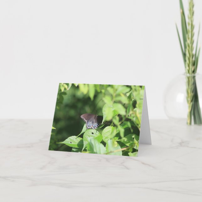 Cartão De Agradecimento Ocultar placa de anotação Swallowtail (Frente)