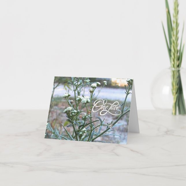 Cartão De Agradecimento One Love, White Wildflower, Nature Art Vazio Card (Frente)