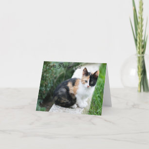 Cartão De Agradecimento Ópera - Fantasma