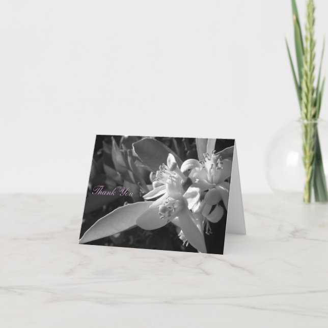 Cartão De Agradecimento Orange Blossom Thank You Card (Frente)
