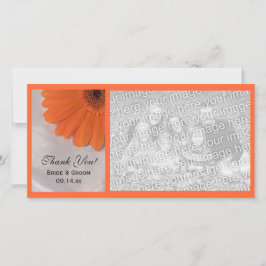 Cartão De Agradecimento Orange Daisy e White Satin Weding Obrigado