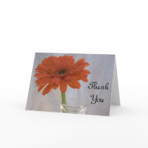 Orange Daisy in Vase Obrigado