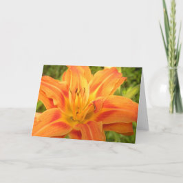 Cartão De Agradecimento Orange Day Lily To Brighten Your World Card