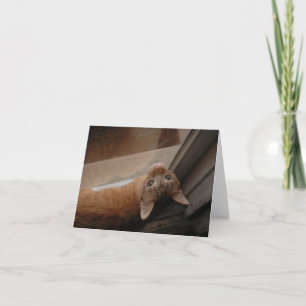 Cartão De Agradecimento Orange gatinho notecard, por H.A.S. Arts