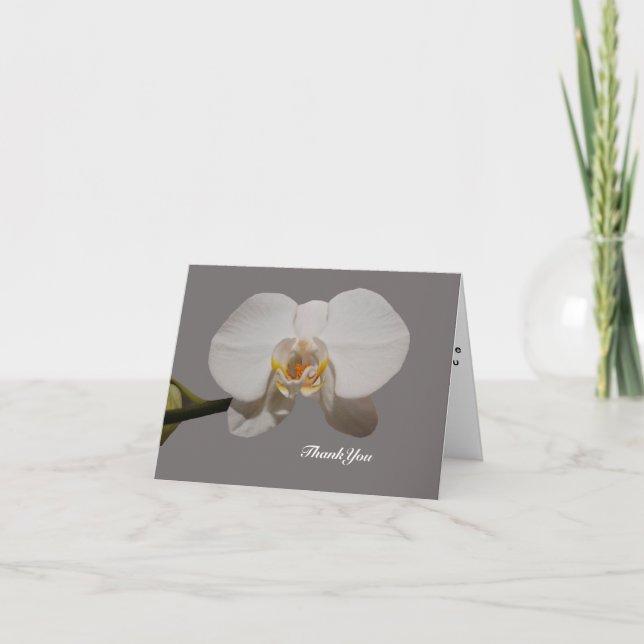 Cartão De Agradecimento Orchid Flower Sympathy Thank You Card (Frente)
