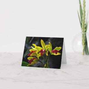 Cartão De Agradecimento Orquídeas
