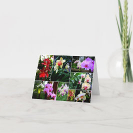 Cartão De Agradecimento Orquídeas