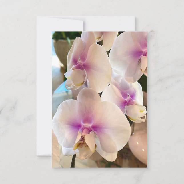 Cartão De Agradecimento Orquídeas Lindas (Frente)