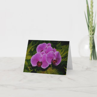 Cartão De Agradecimento Orquídeas, placa de vazio