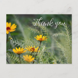 Cartão de agradecimento ou use seu próprio sentime