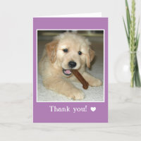 Ouro Retriever Puppy Dog Com Osso Obrigado