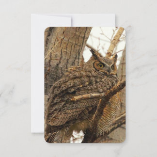 Cartão De Agradecimento Owl Flat Notecard