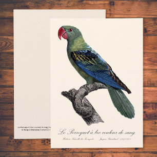 Cartão De Agradecimento Papagaio-de-bico-largo, Tanygnathus Megalorynchos