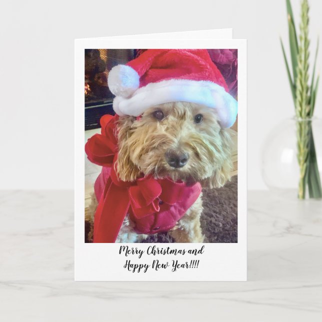 Cartão De Agradecimento Papais noeis Ella Bella Banana (Frente)