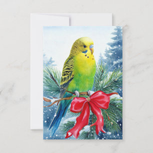 Cartão De Agradecimento Parakeet em Pine Branch e Fita de Natal