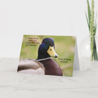 Pato, vou pensar em você, Card