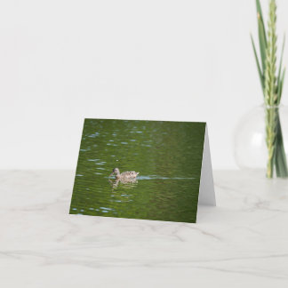 Cartão De Agradecimento Patos em um Lago Verde (2)
