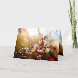 Cartão De Agradecimento Paz, Amor, Sol E Muitos Obrigados