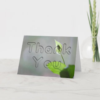 Cartão De Agradecimento Peace Lily Floral Obrigado