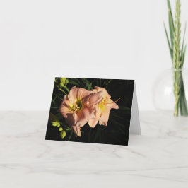 Cartão De Agradecimento Peach Daylily