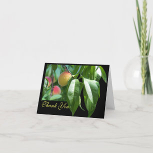 Cartão De Agradecimento Peach Tree Obrigado