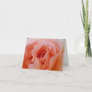 Cartão De Agradecimento peachy love rosa abrir pétalas em notecard