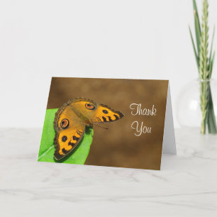 Cartão De Agradecimento Peacock Pansy Butterfly Thank you