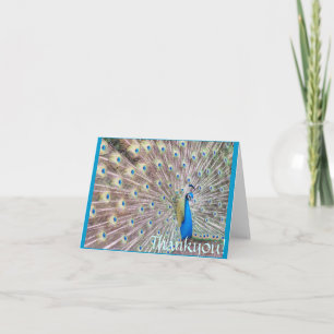 Cartão De Agradecimento Peacock Thankyou! Card