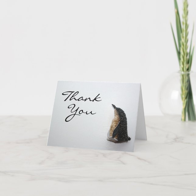 Cartão De Agradecimento Penguin Thank You Card (Frente)