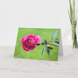 Cartão De Agradecimento Península rosa-clara