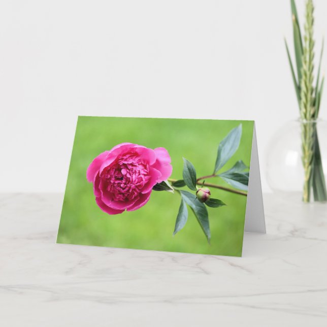 Cartão De Agradecimento Península rosa-clara (Frente)