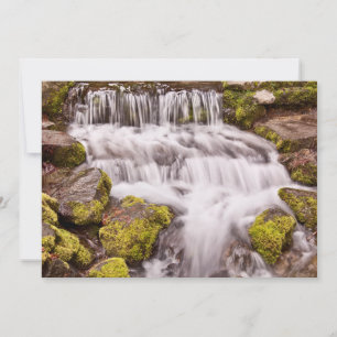 Cartão De Agradecimento Pequenas Cataratas em Yosemite