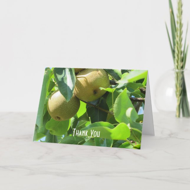Cartão De Agradecimento Peras de Verão (Frente)