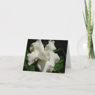 Cartão De Agradecimento Perfect Gardenia