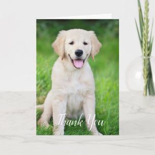 Cartão De Agradecimento Personalizado Simples Cachorro Pet Foto Vet Tech V