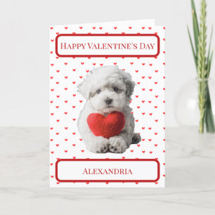 Cartão De Agradecimento Personalizar placa de Namorados Puppy Bichon Frise