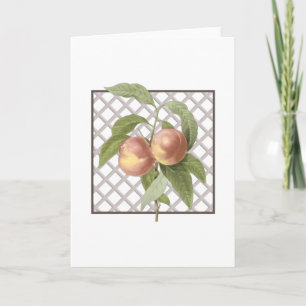 CARTÃO DE AGRADECIMENTO PÊSSEGOS