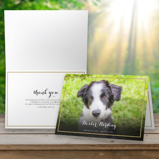 Cartão De Agradecimento Pet Losse Simpatia Foto Elegante Dourada (Pet Loss Sympathy Photo Elegant Gold Thank You Card)