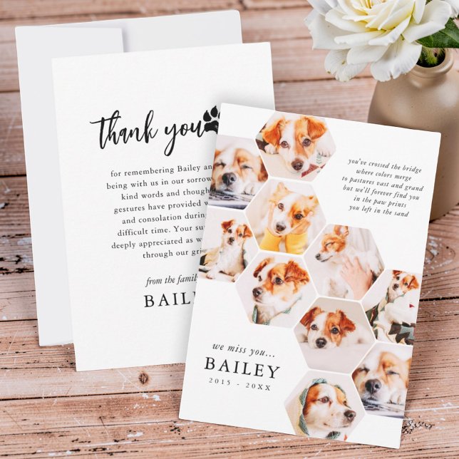 Cartão De Agradecimento Pet Memorial Modern Simple 10 Photo Collage (Criador carregado)