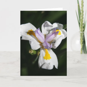 Cartão De Agradecimento pétalas de flores delicadas