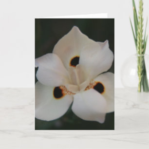 Cartão De Agradecimento pétalas de flores pequenas