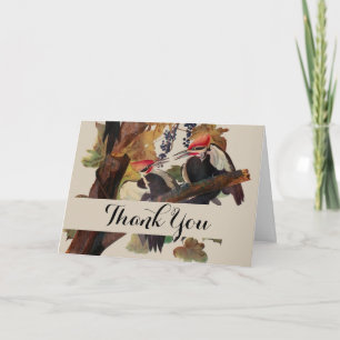 Cartão De Agradecimento Pica-Pica-Pica-Pica Audubon Pileada