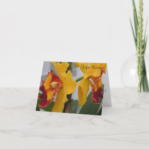 Cartão De Agradecimento PICT0396, Hope floresce