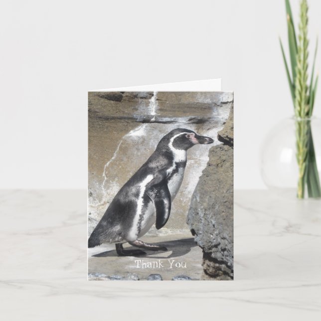 Cartão De Agradecimento Pinguim Obrigado (Frente)